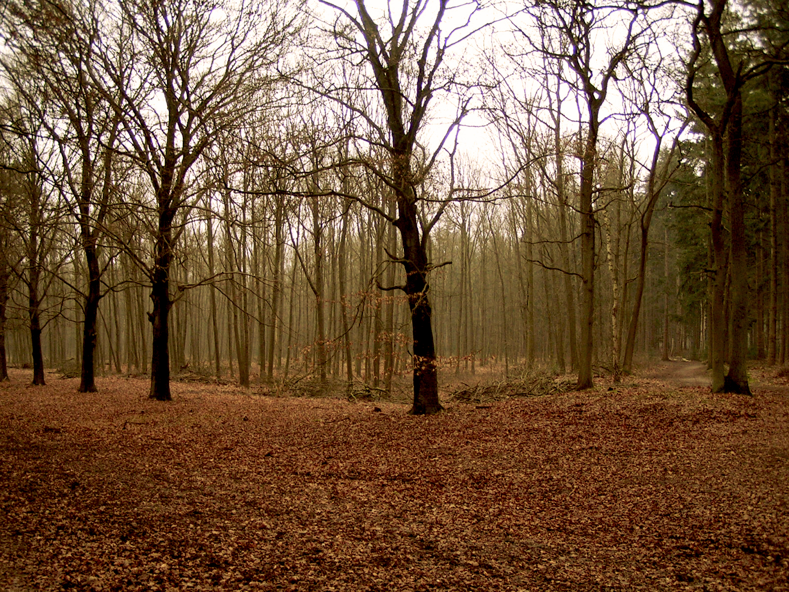 autumn03